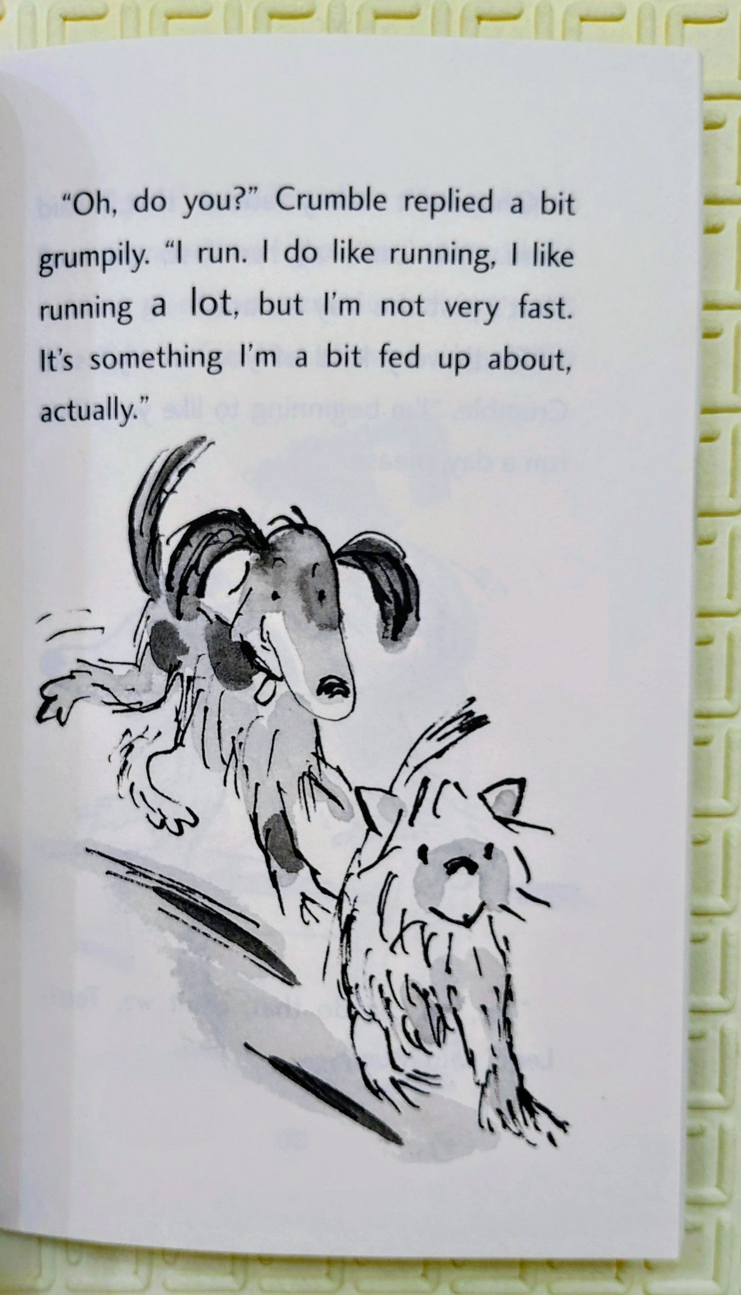 Choosing Crumble by Michael Rosen | Illustrated by Tony Ross