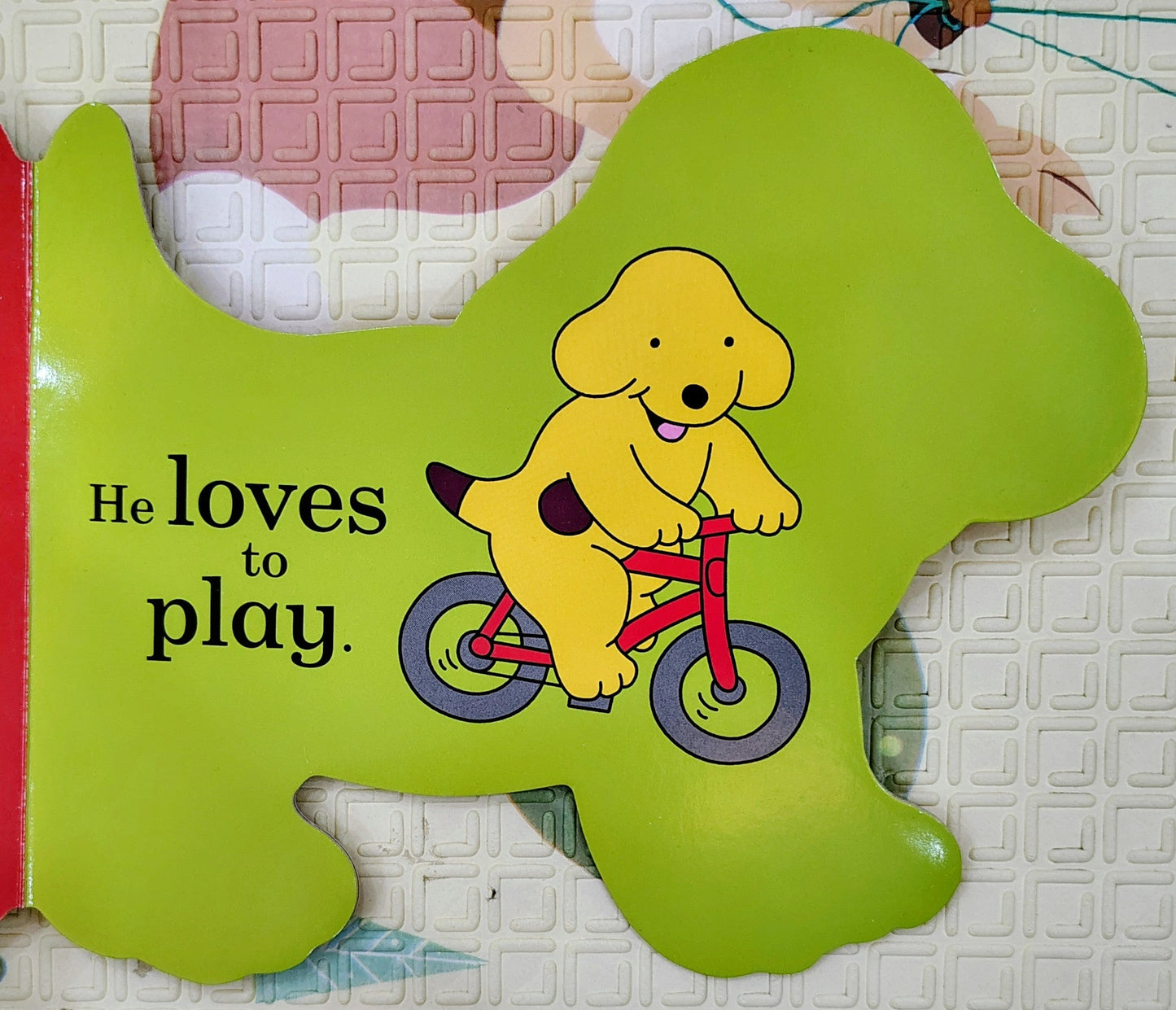 Spot's Story | Eric Hill | Cutout Boardbook