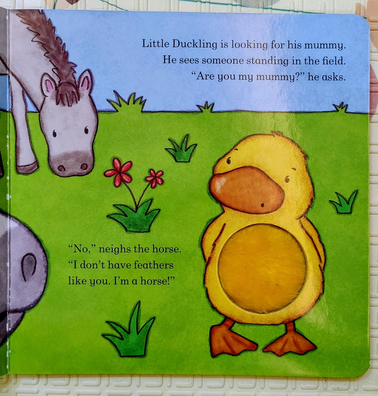 Are You My Mummy? Little Duckling | Touch & Feel