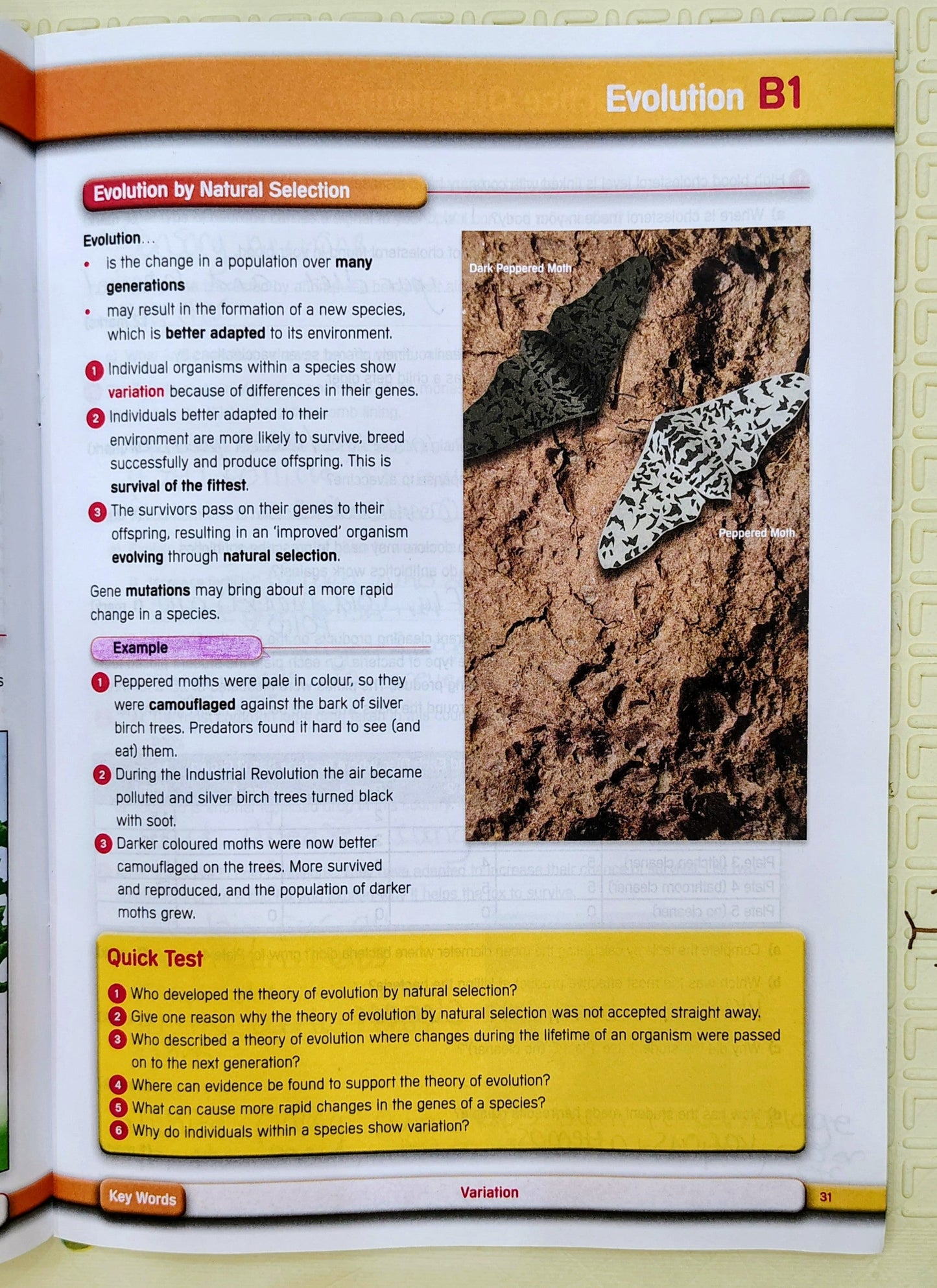 GCSE Science A Essentials by Lonsdale  | Revision Guide