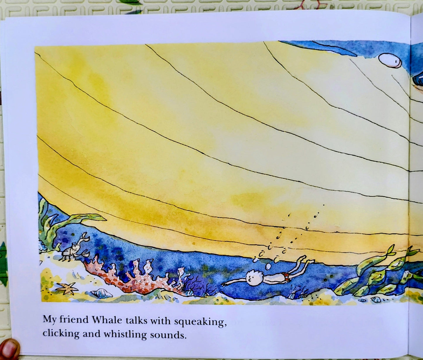 My Friend Whale by Simon James | Walker Books