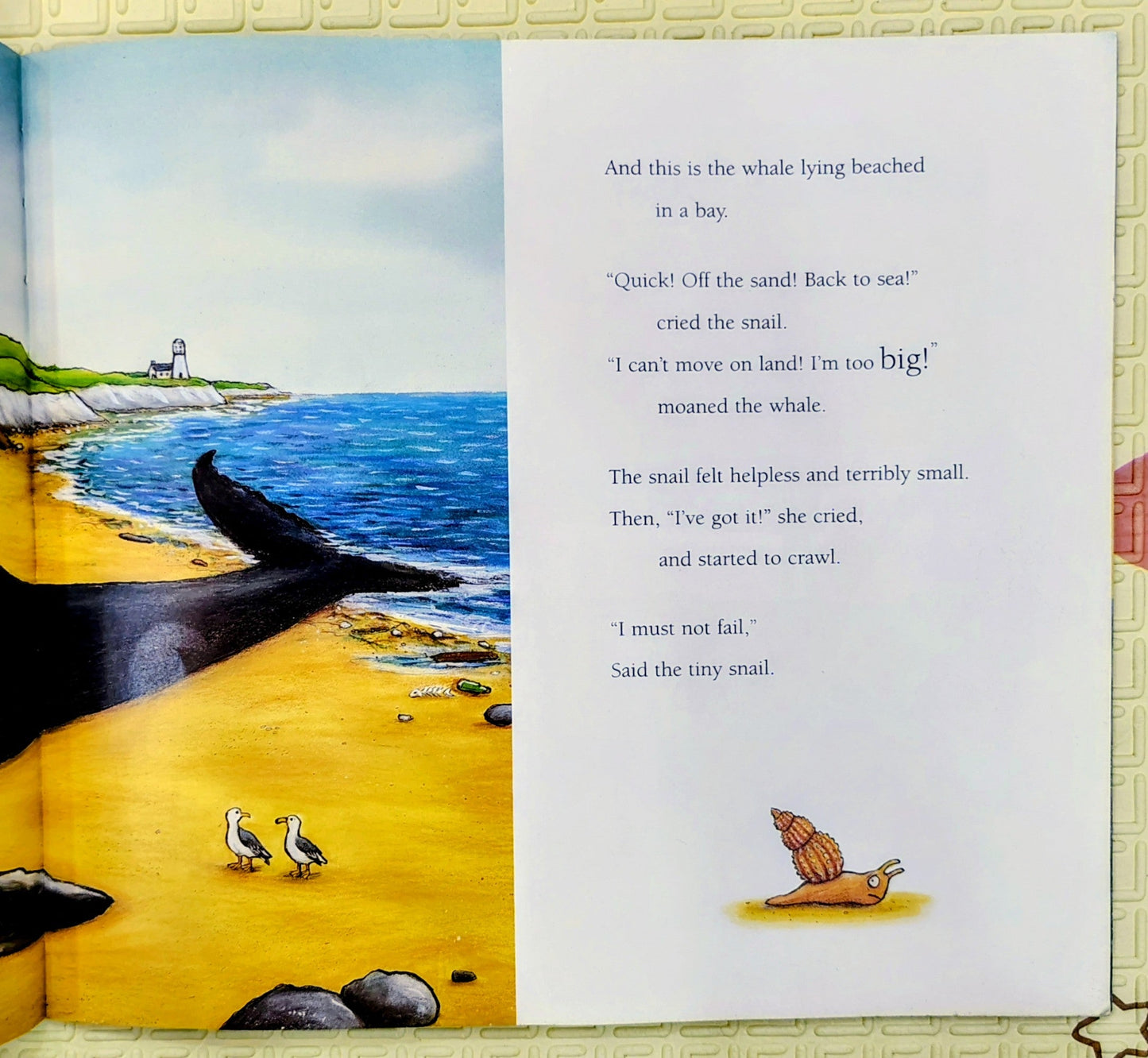 The Snail and the Whale by Julia Donaldson | Macmillan