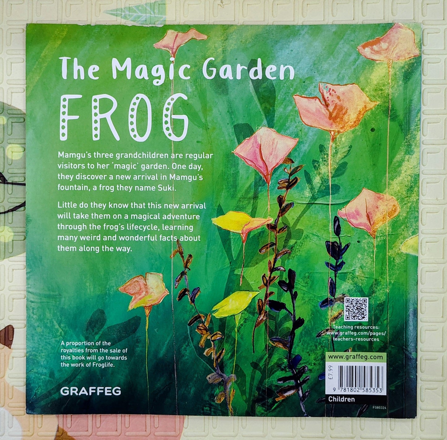 The Magic Garden Frog by Shann Jones and Hannah Rounding