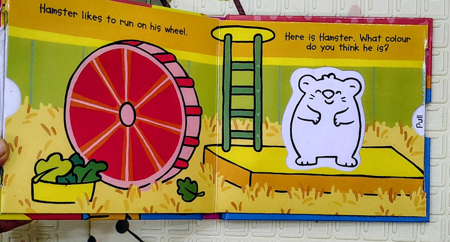 My Pets by Luana Rinaldo | Pull the Tab | Magic Colour Book