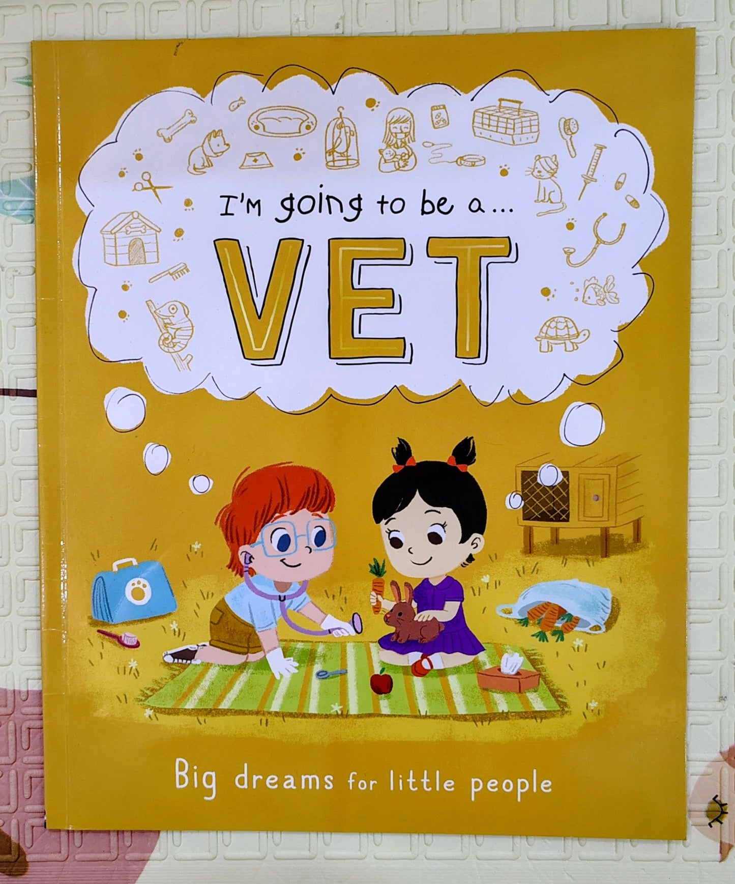I'm Going to Be a... Vet | Big Dreams for Little People