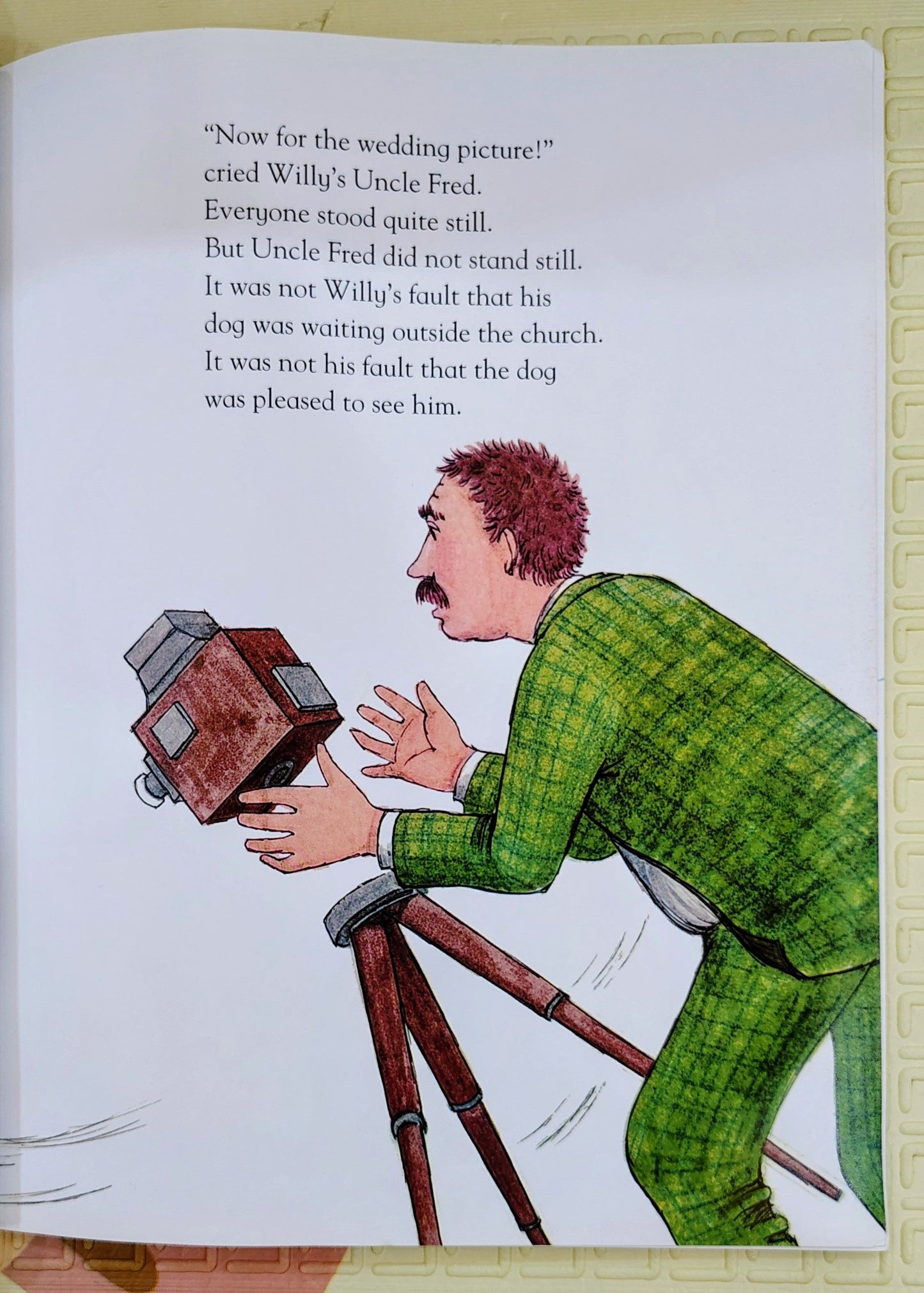 When Willy Went to the Wedding by Judith Kerr | HarperCollins