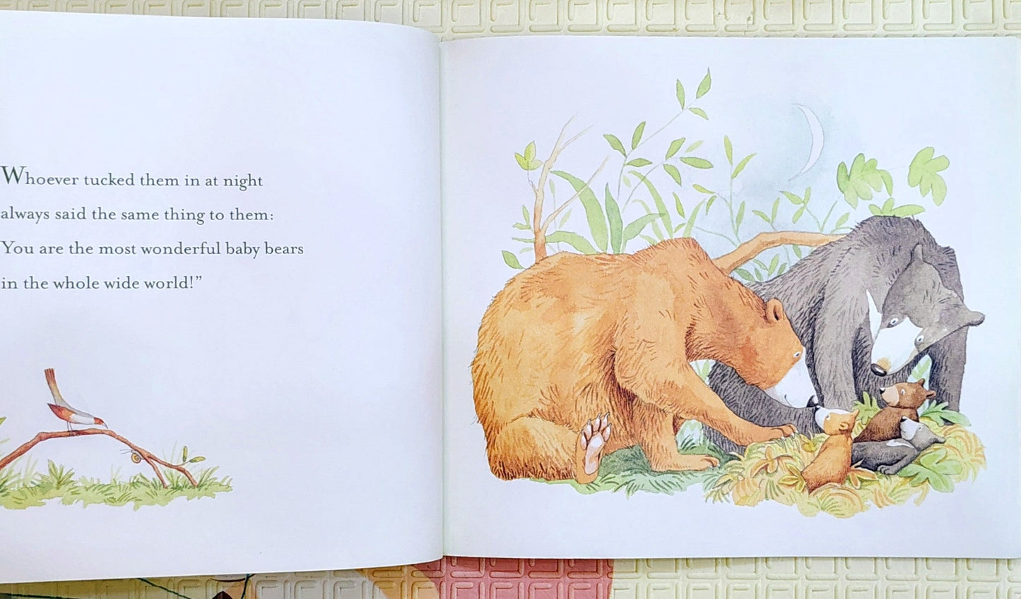 You're All My Favourites by Sam McBratney | Walker Books