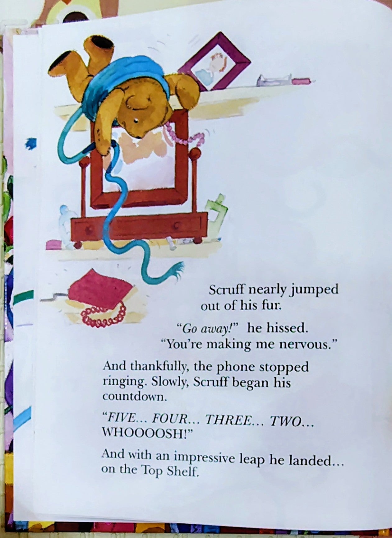 Top Shelf Ted by Joan Stimson | Picture Ladybird