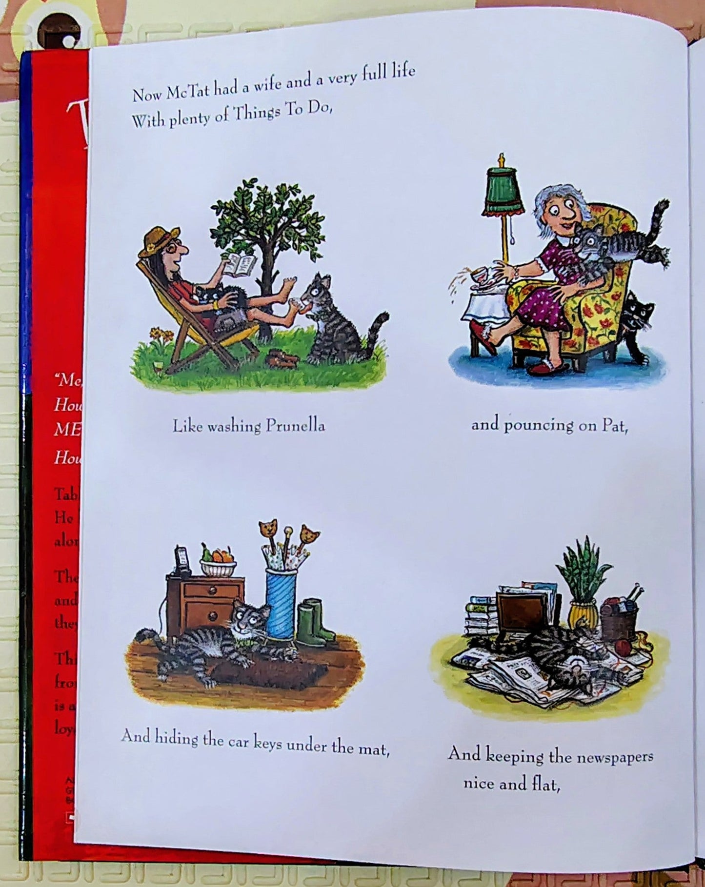 Tabby McTat by Julia Donaldson and Axel Scheffler