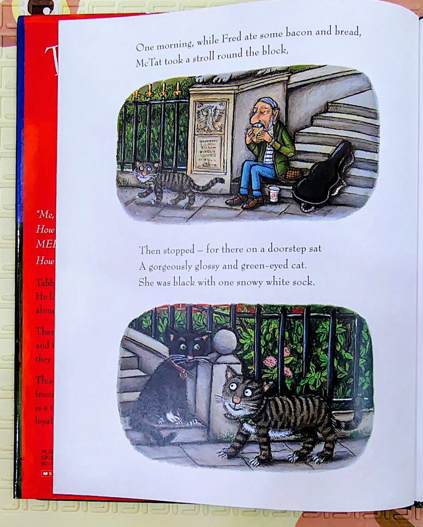 Tabby McTat by Julia Donaldson and Axel Scheffler