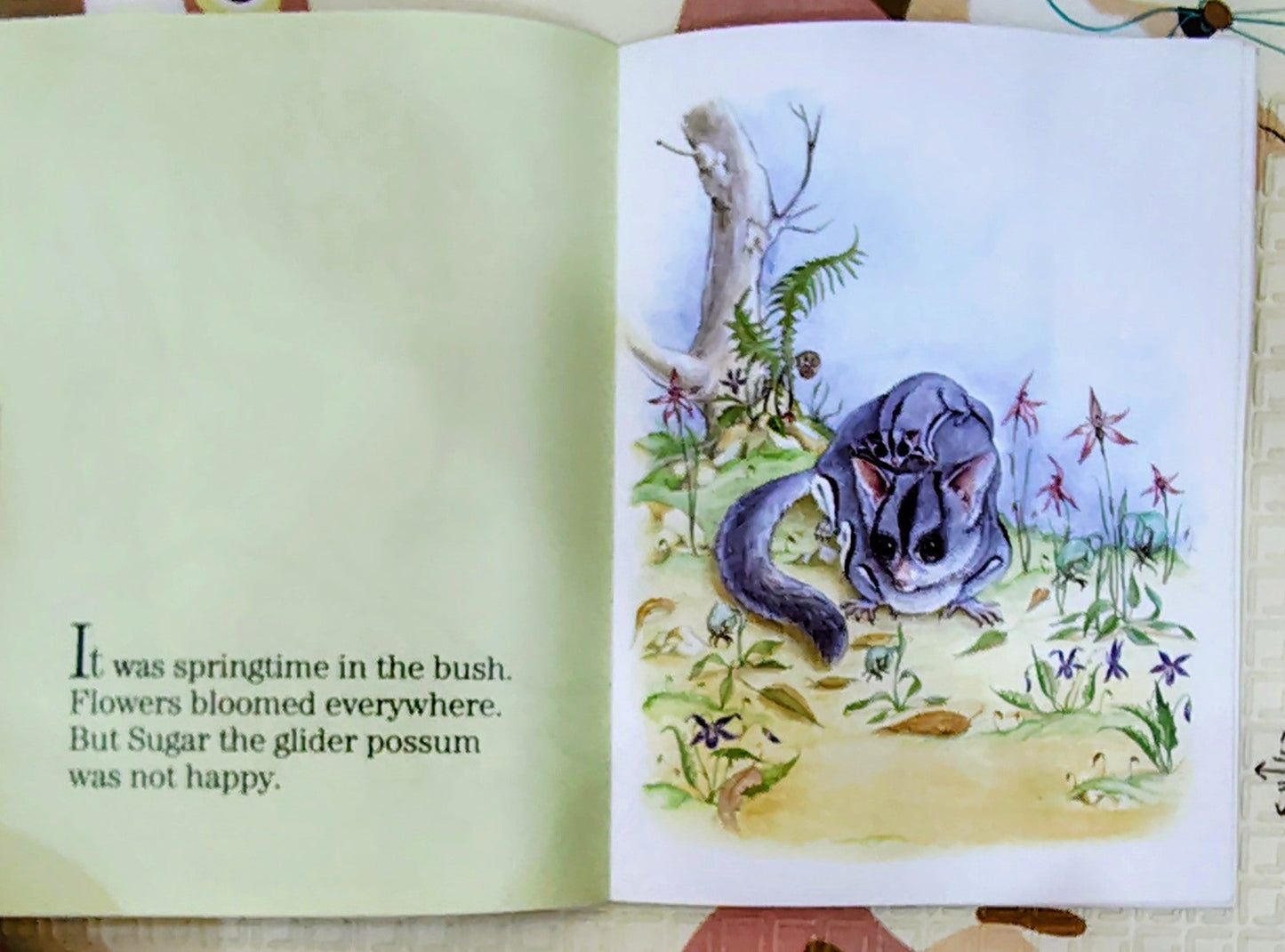 Bush Baby by Tricia Oktober