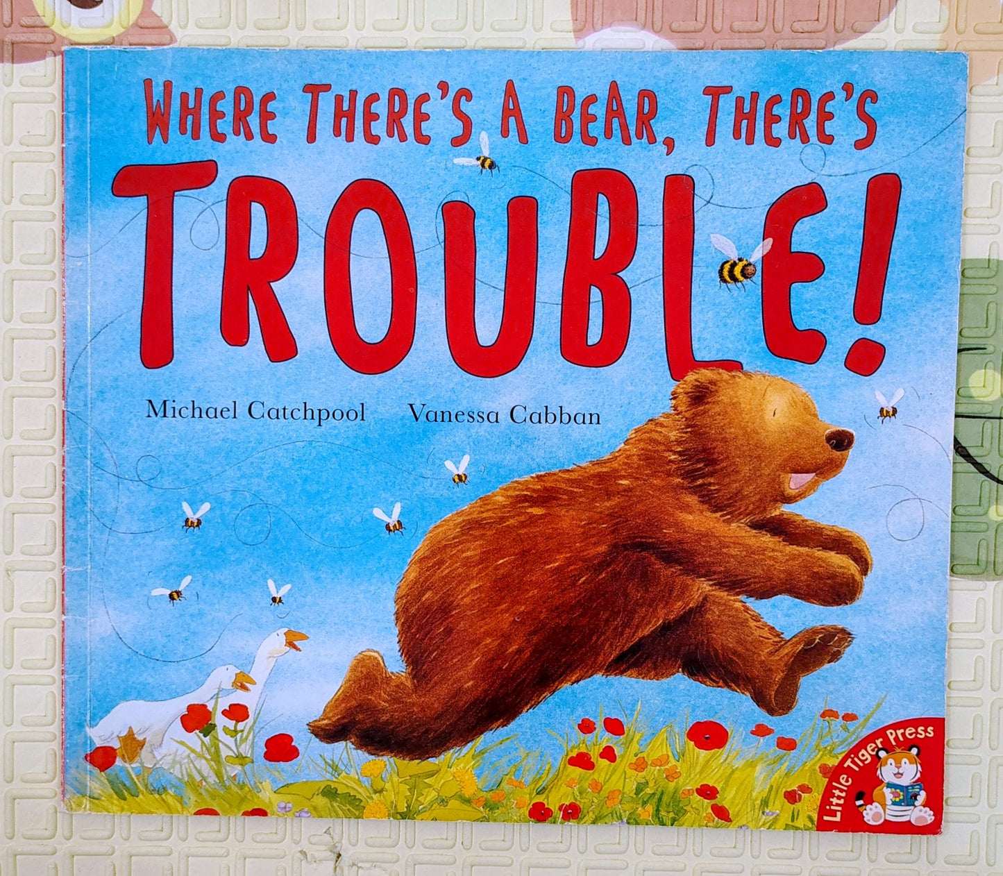 Where There's a Bear, There's Trouble by Michael Catchpool | Little Tiger