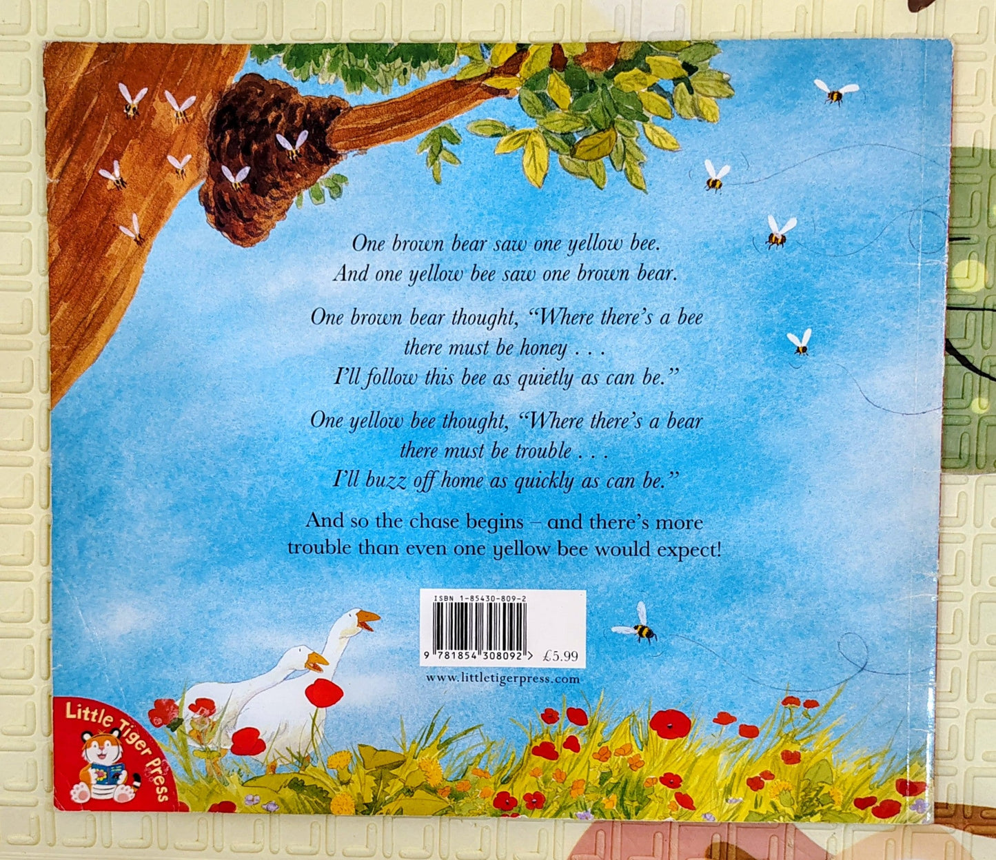Where There's a Bear, There's Trouble by Michael Catchpool | Little Tiger