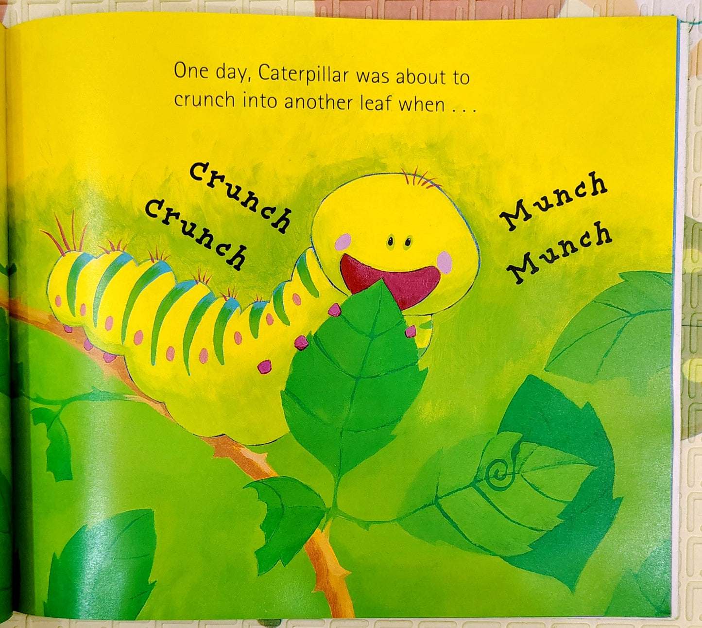 The Crunching Munching Caterpillar by Sheridan Cain | Little Tiger