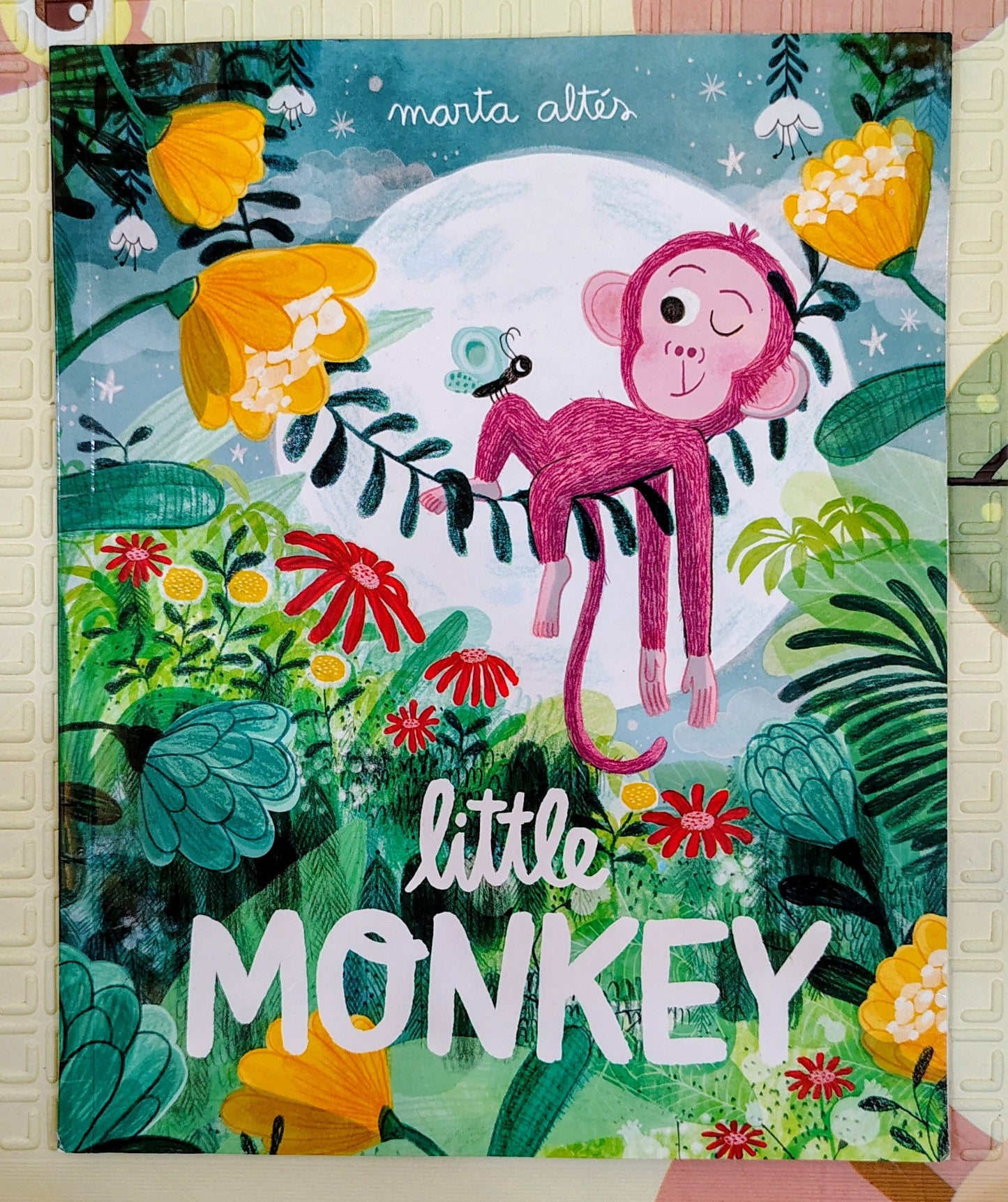 Little Monkey by Marta Altes | MacMillan