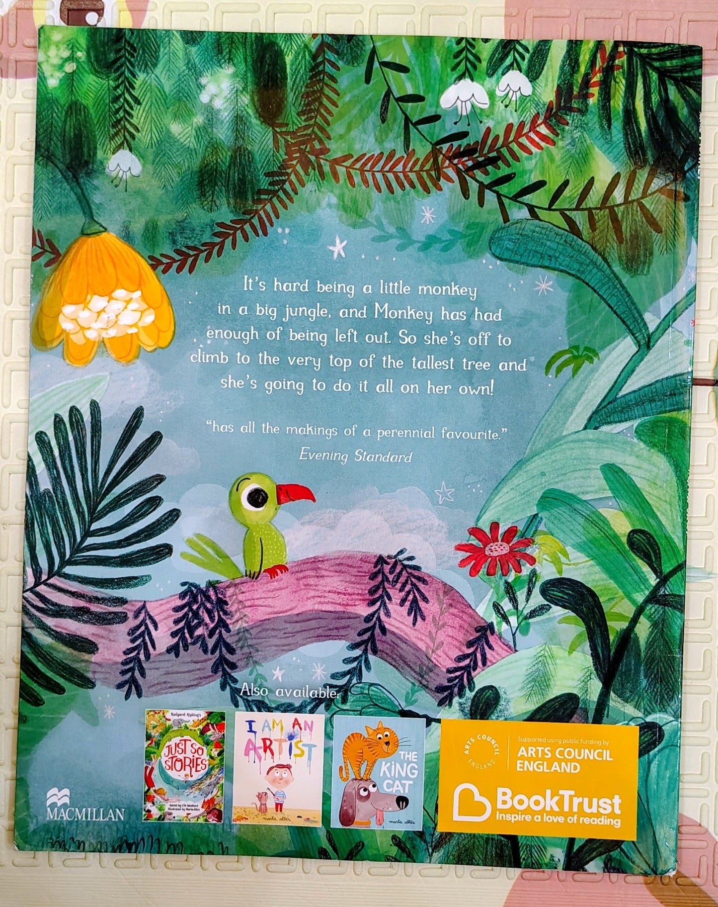 Little Monkey by Marta Altes | MacMillan