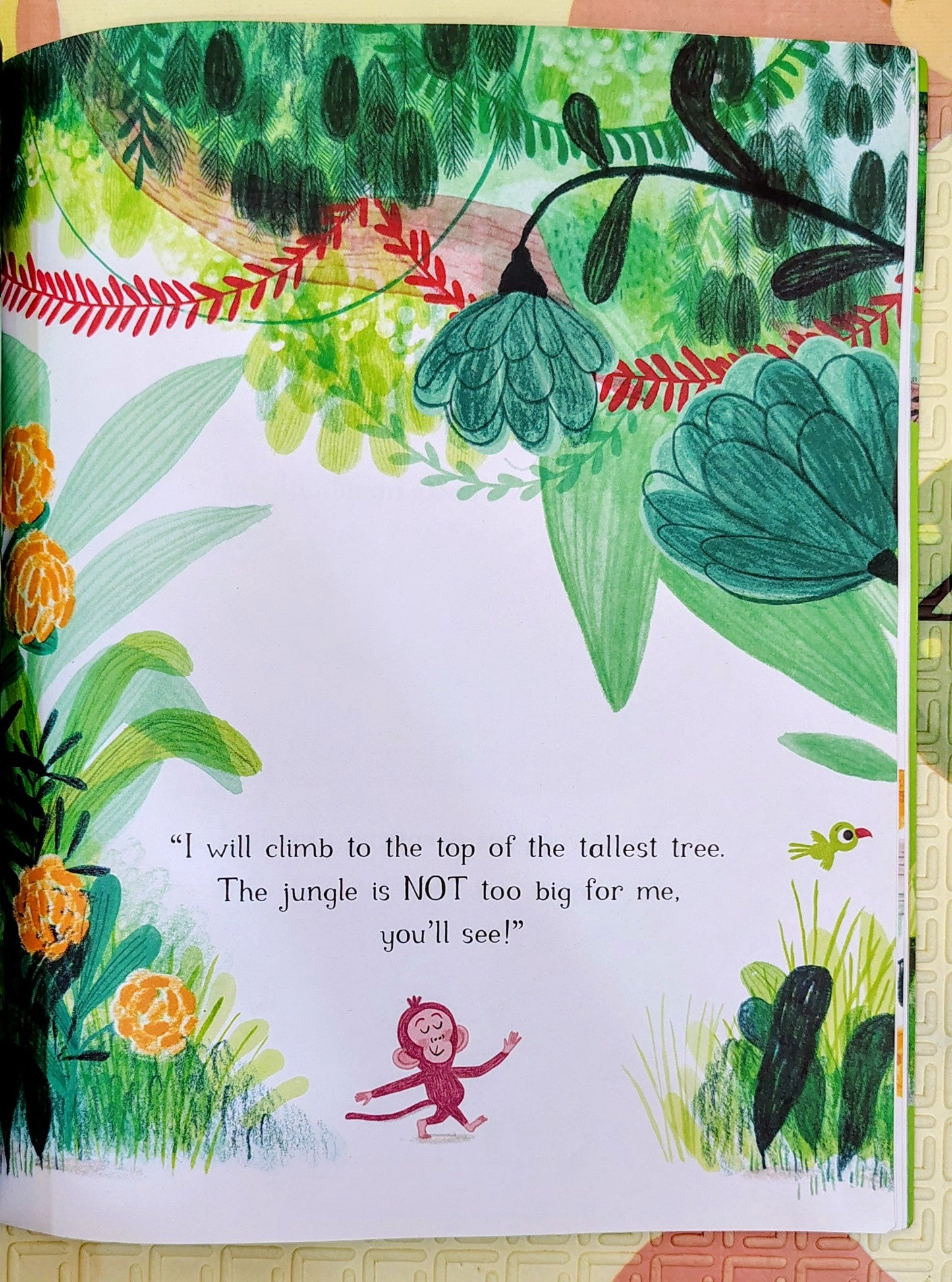 Little Monkey by Marta Altes | MacMillan