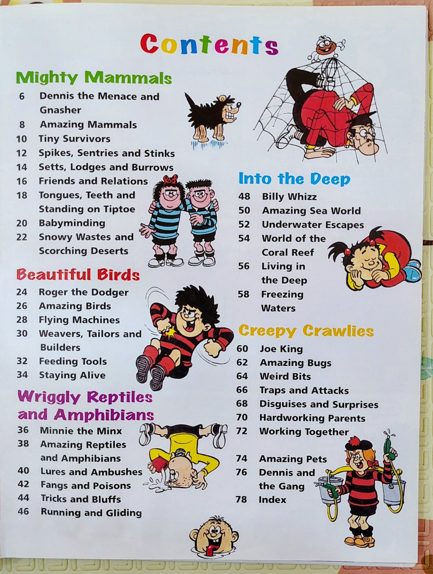 The Beano Book of Amazing Animals | Kingfisher