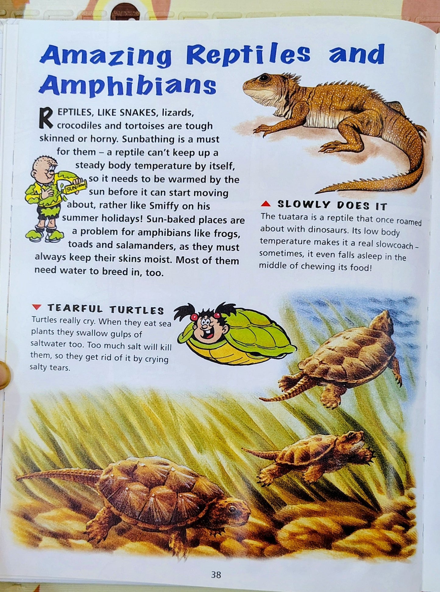 The Beano Book of Amazing Animals | Kingfisher