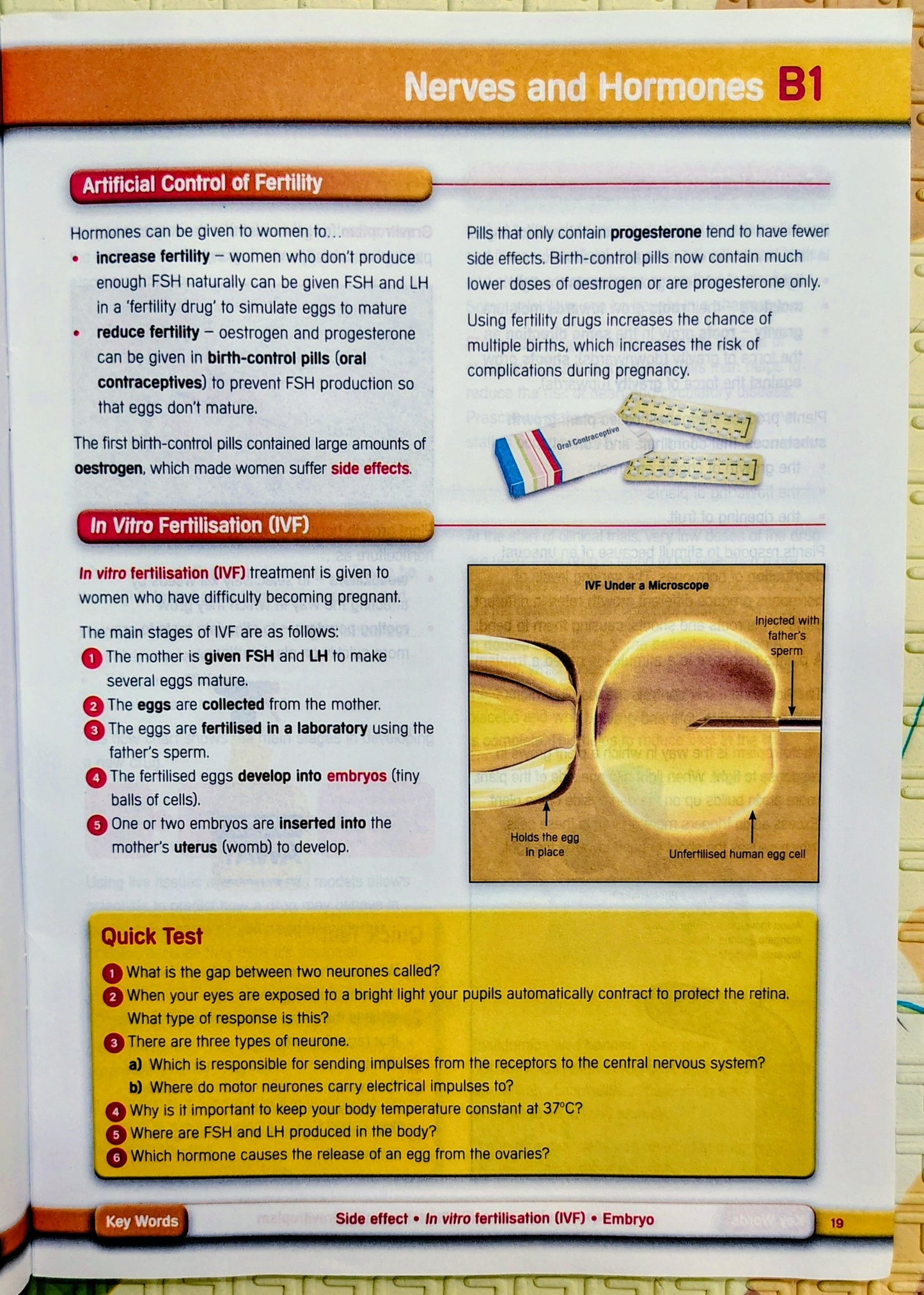 Essentials GCSE Science A by Lonsdale