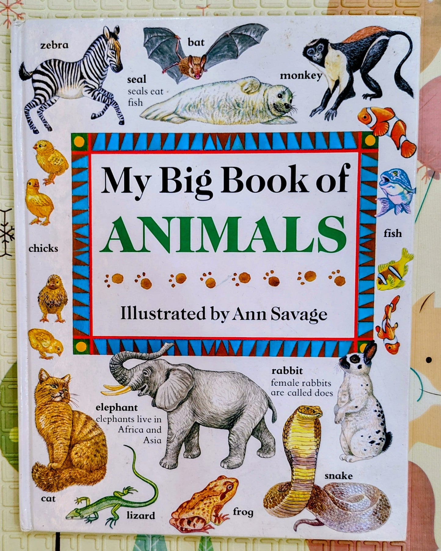 My Big Book of Animals by Ann Savage