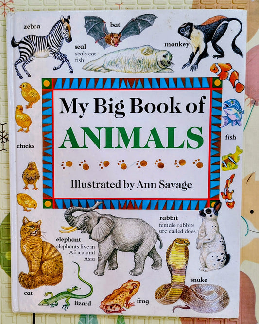 My Big Book of Animals by Ann Savage