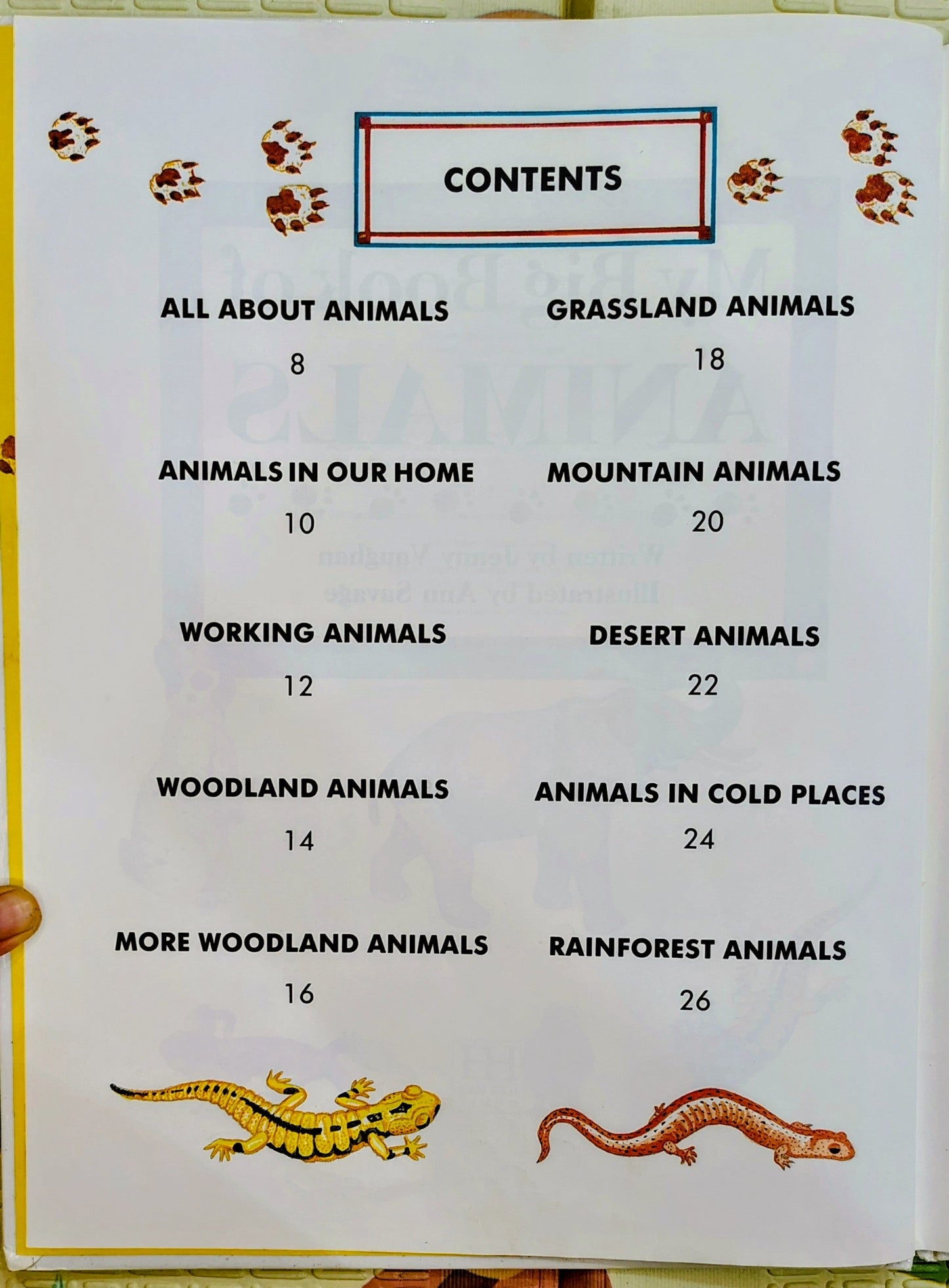 My Big Book of Animals by Ann Savage