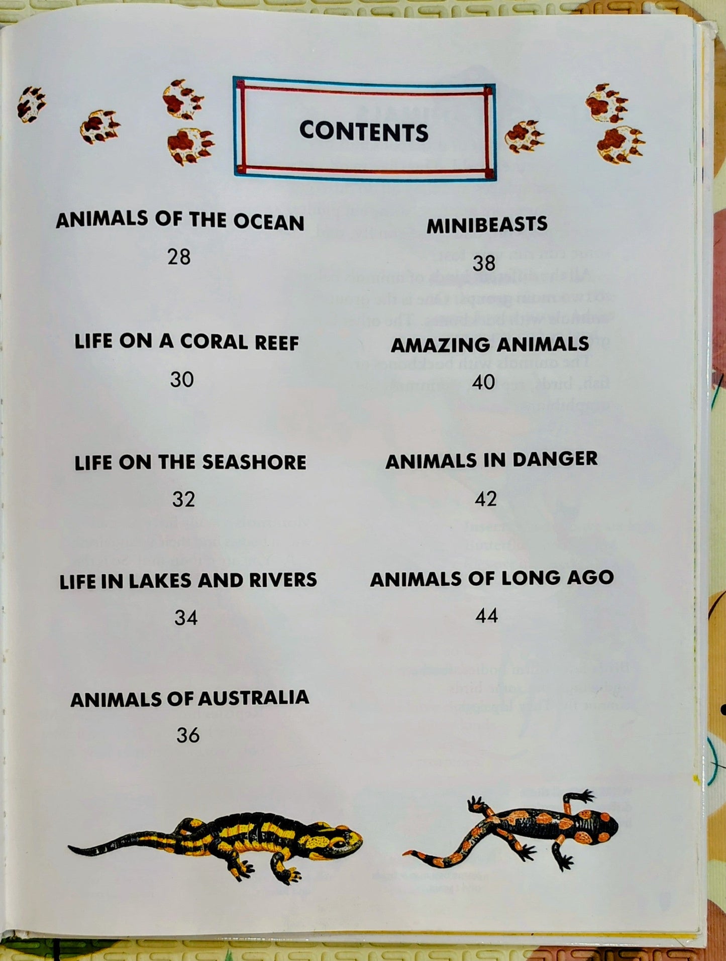 My Big Book of Animals by Ann Savage