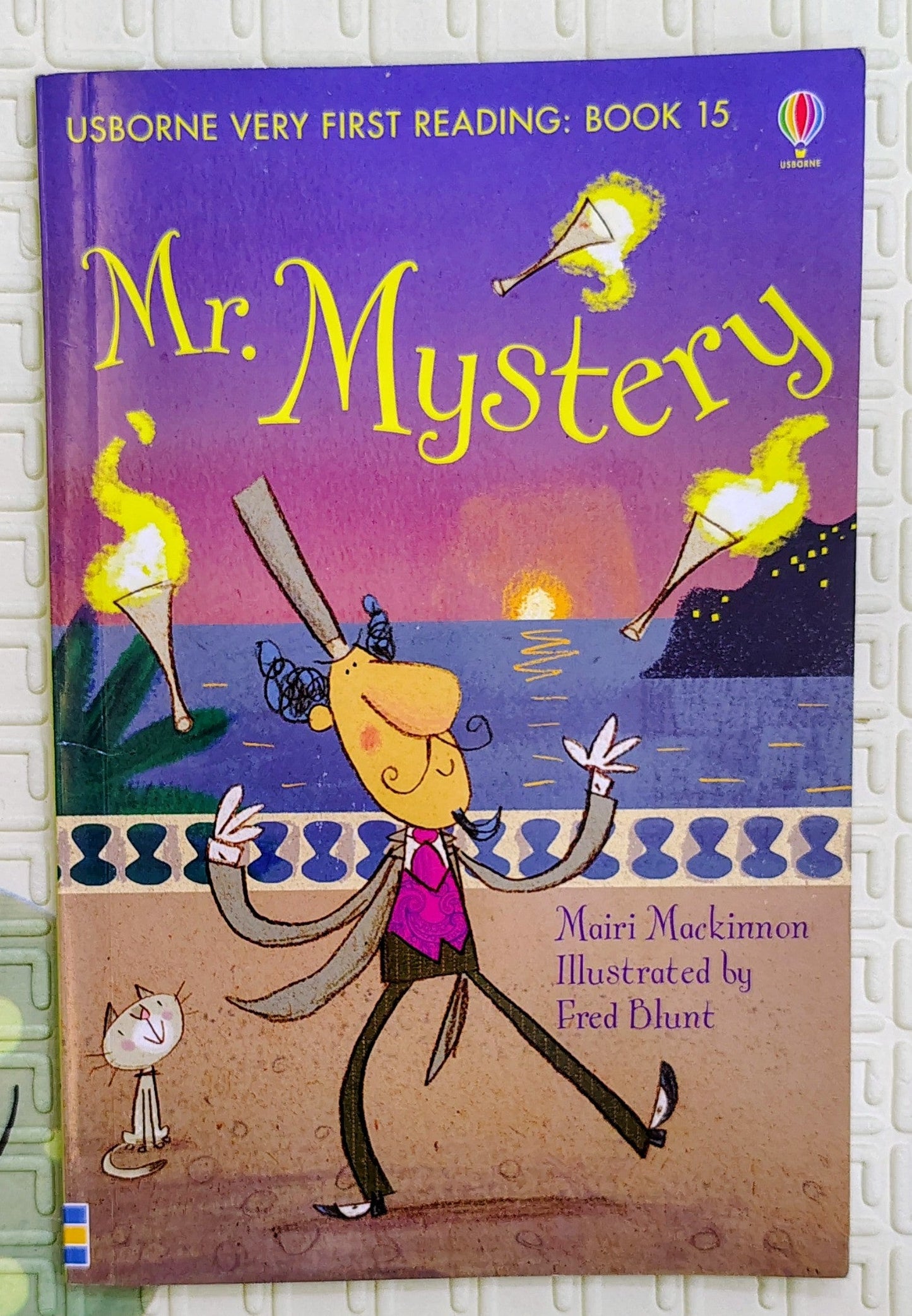 Mr. Mystery by Mairi Mackinnon | Usborne | First Reading
