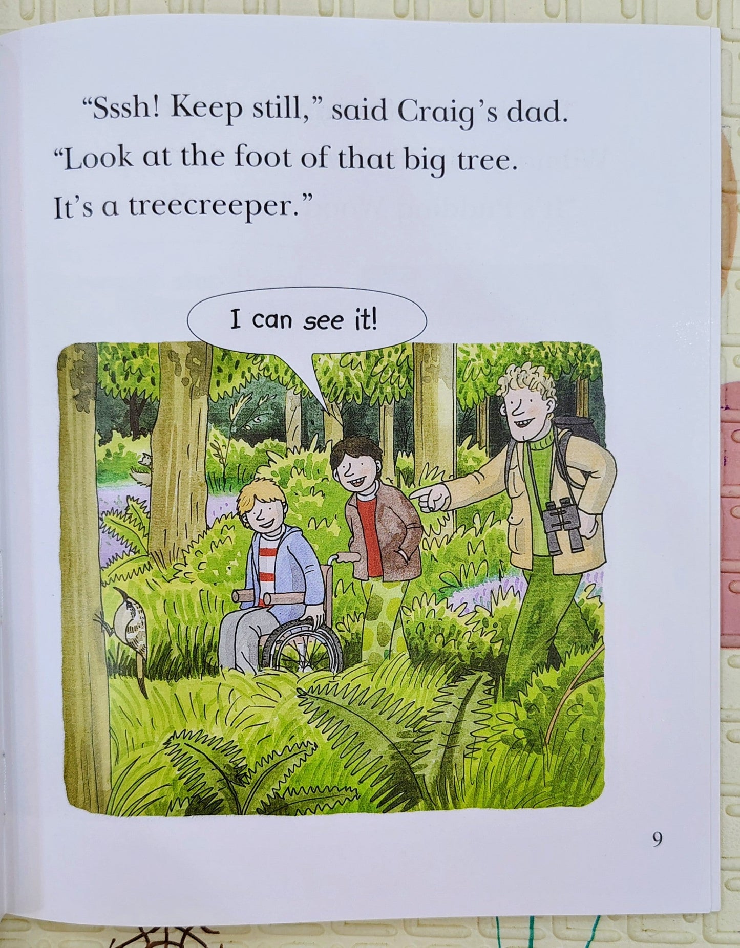 Save Pudding Wood | Biff Chip and Kipper | Oxford Level 6