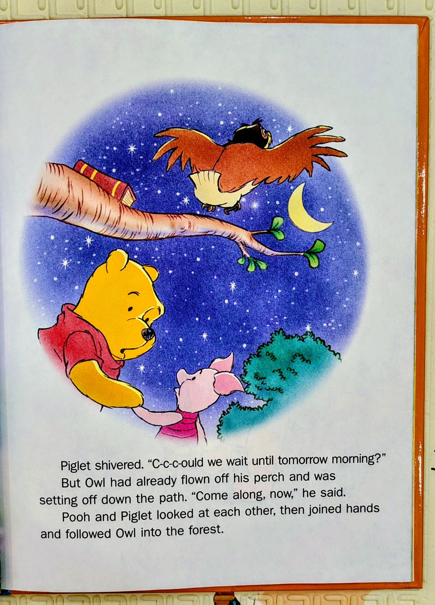 Pooh: Owl's World by Disney