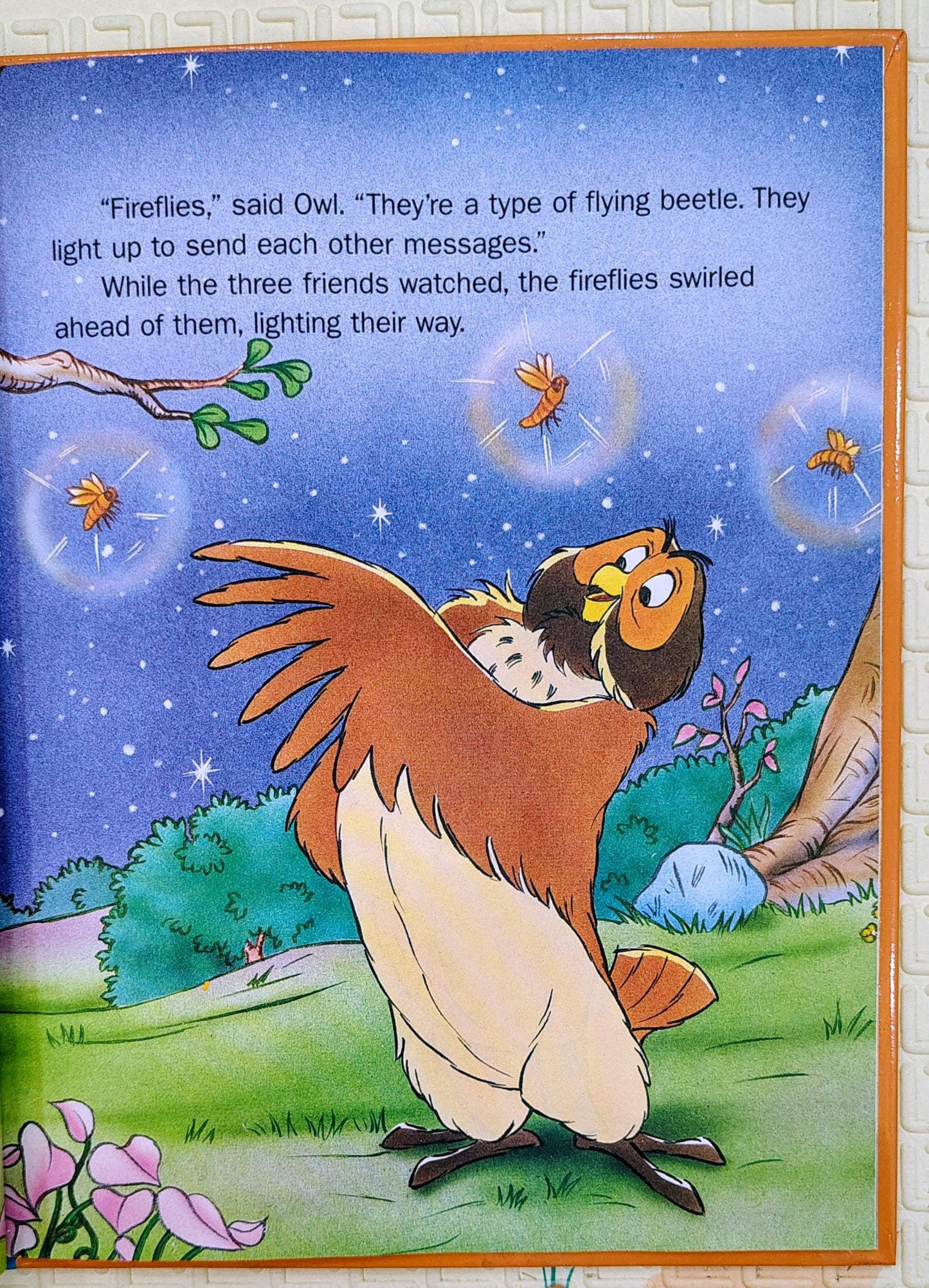 Pooh: Owl's World by Disney