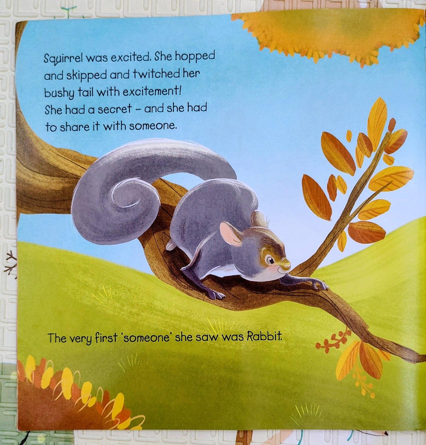 Don't Tell Anyone, But... by Susie Linn | Top That