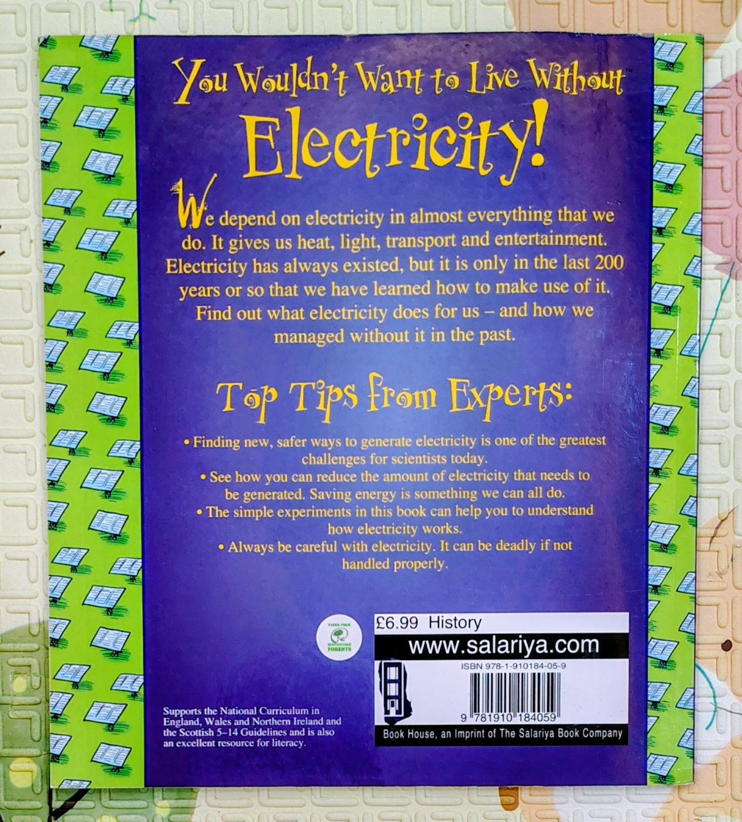 You Wouldn't Want to Live Without Electricity! by Ian Graham