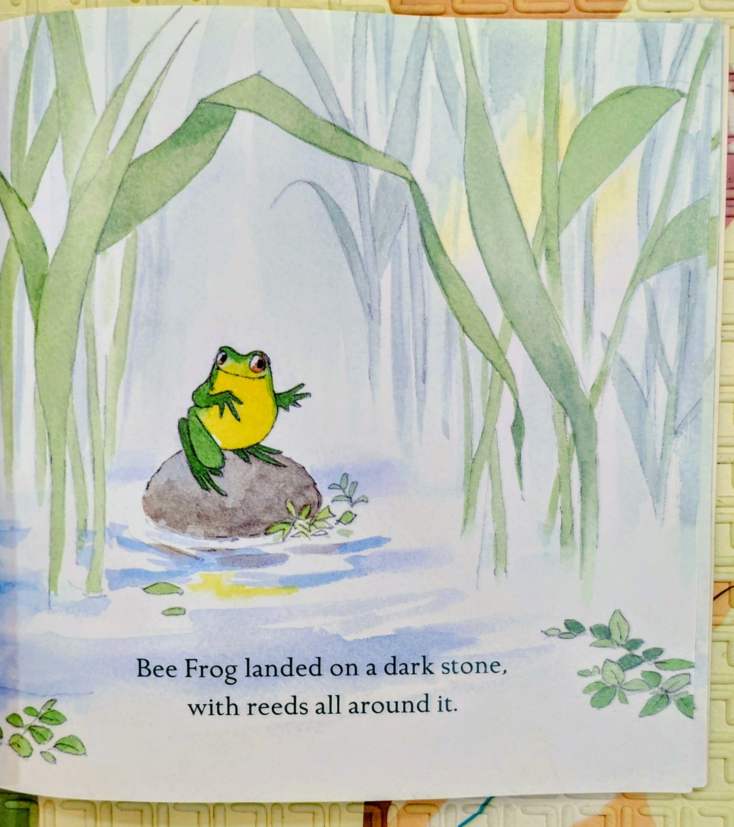 Bee Frog by Martin Waddell | Walker Books