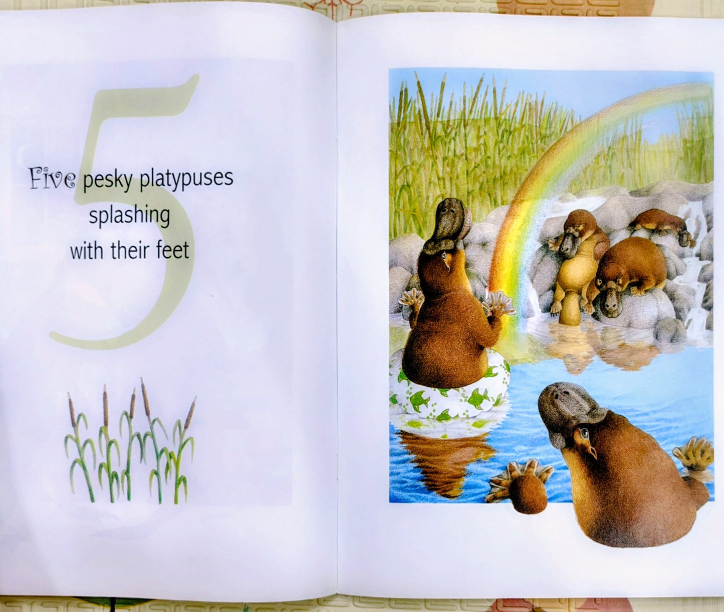 One Woolly Wombat by Kerry Argent | Scholastic