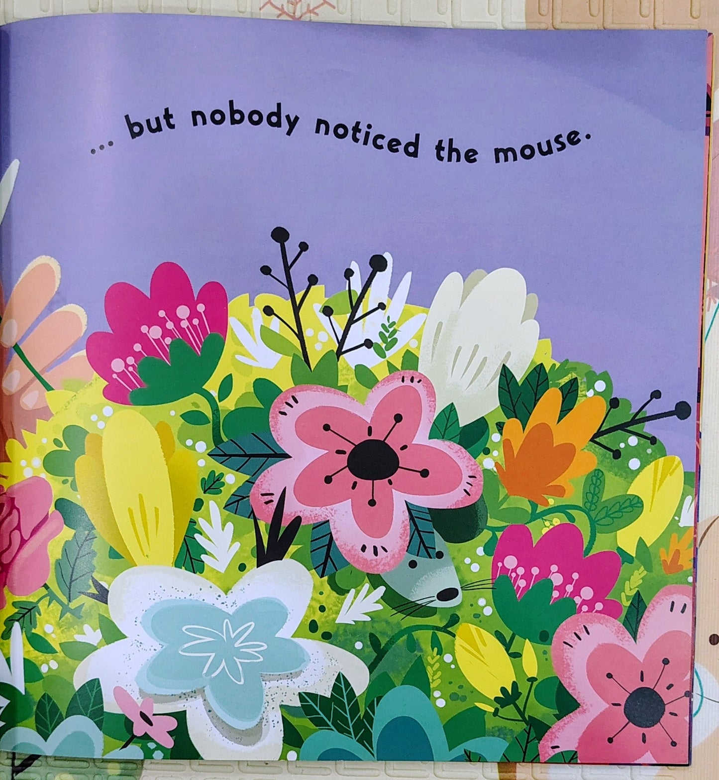 ...and Nobody Noticed the Mouse by Enid Richemont