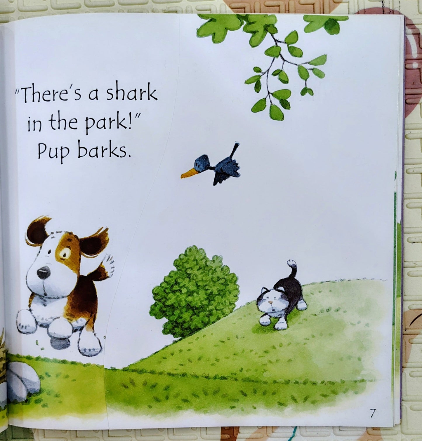 Shark in the Park by Phil Roxbee Cox & Stephen Cartwright | Usborne Phonics Readers