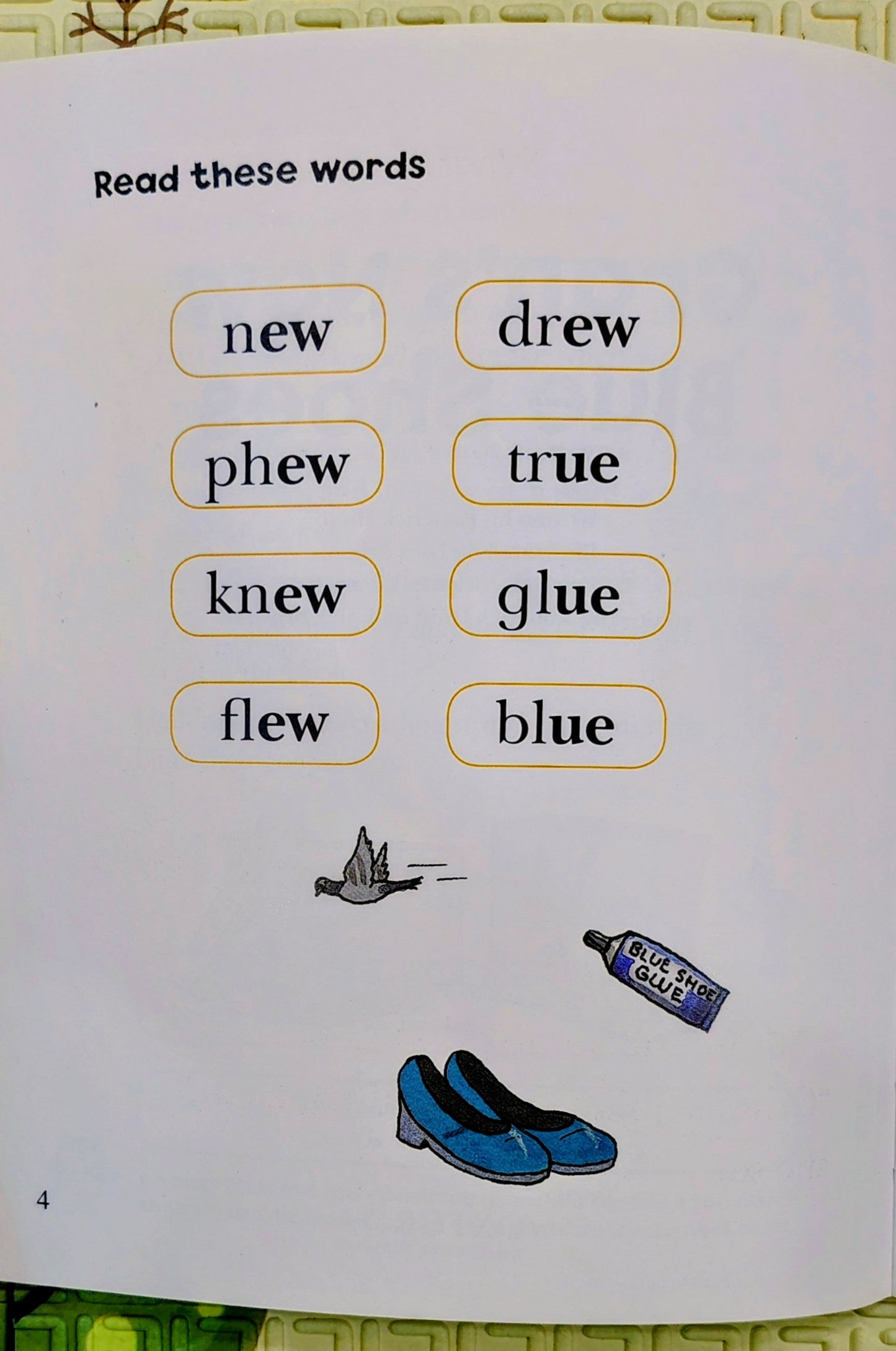 Gran's New Blue Shoes by Roderick Hunt | Oxford Phonics Level 6