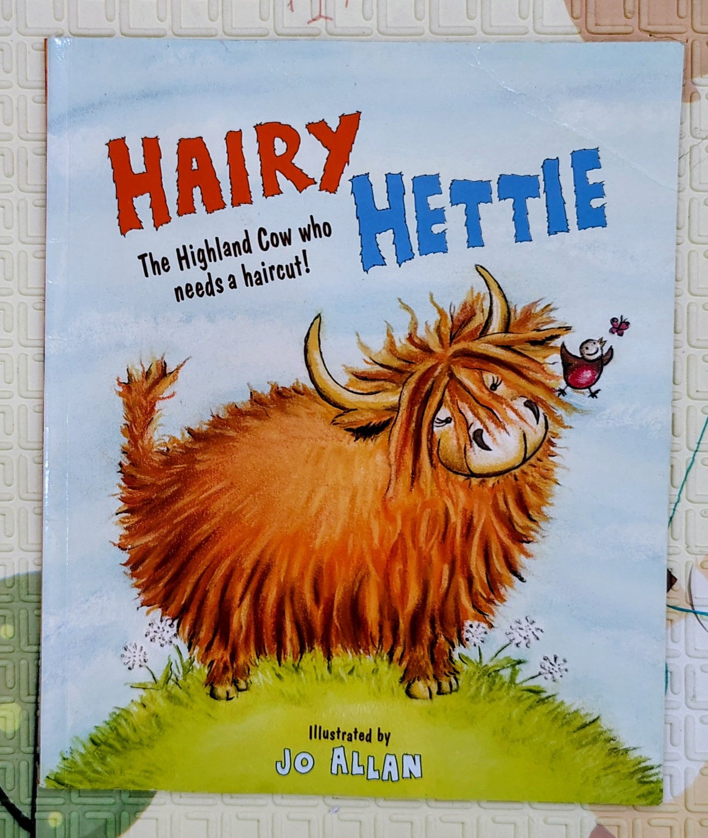 Hairy Hettie by Jo Allan | The Highland Cow who needs a Haircut