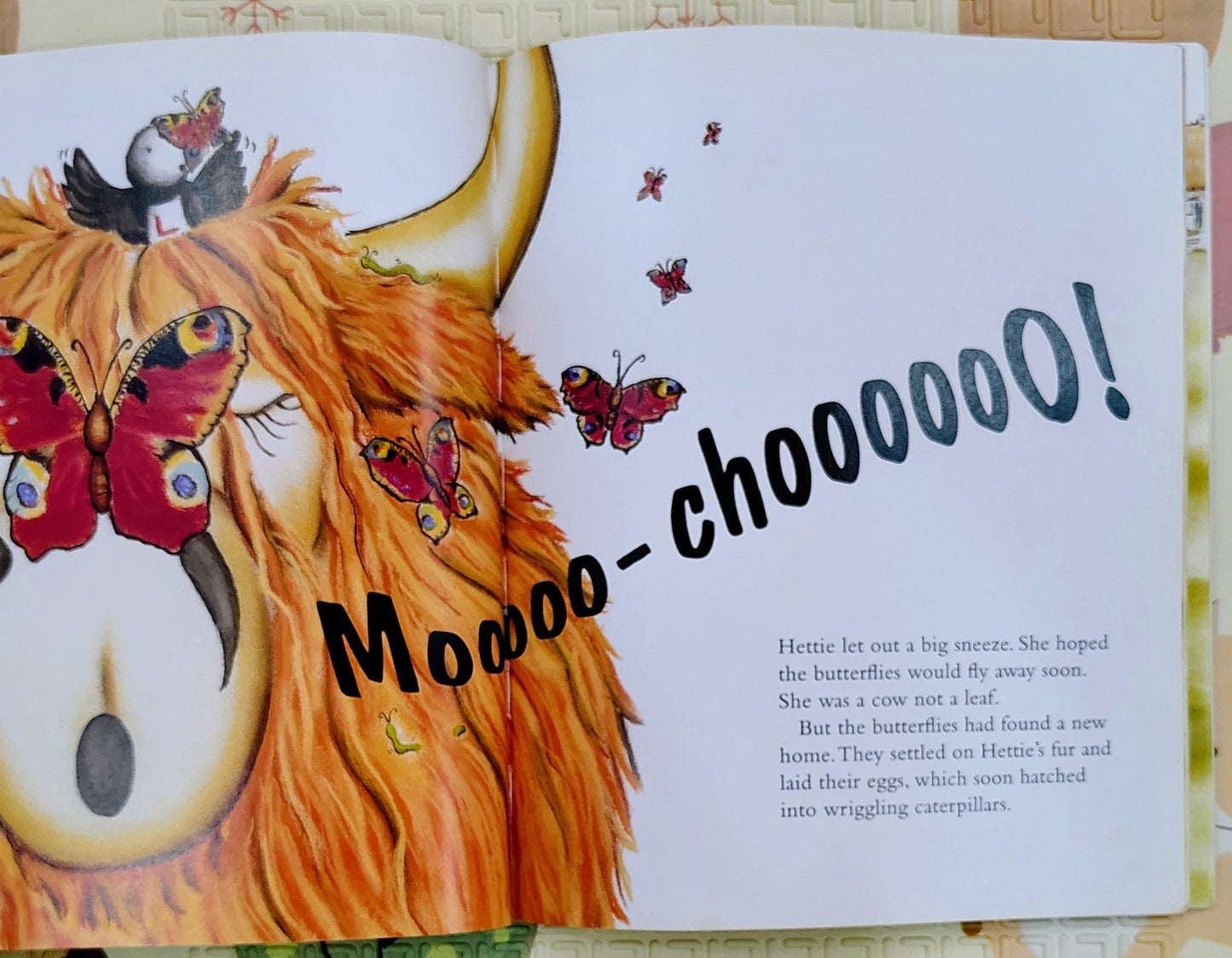 Hairy Hettie by Jo Allan | The Highland Cow who needs a Haircut
