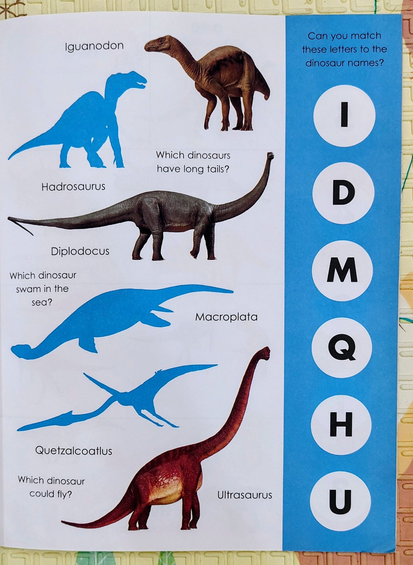Dinosaurs Sticker Activity Book with Colouring Pages