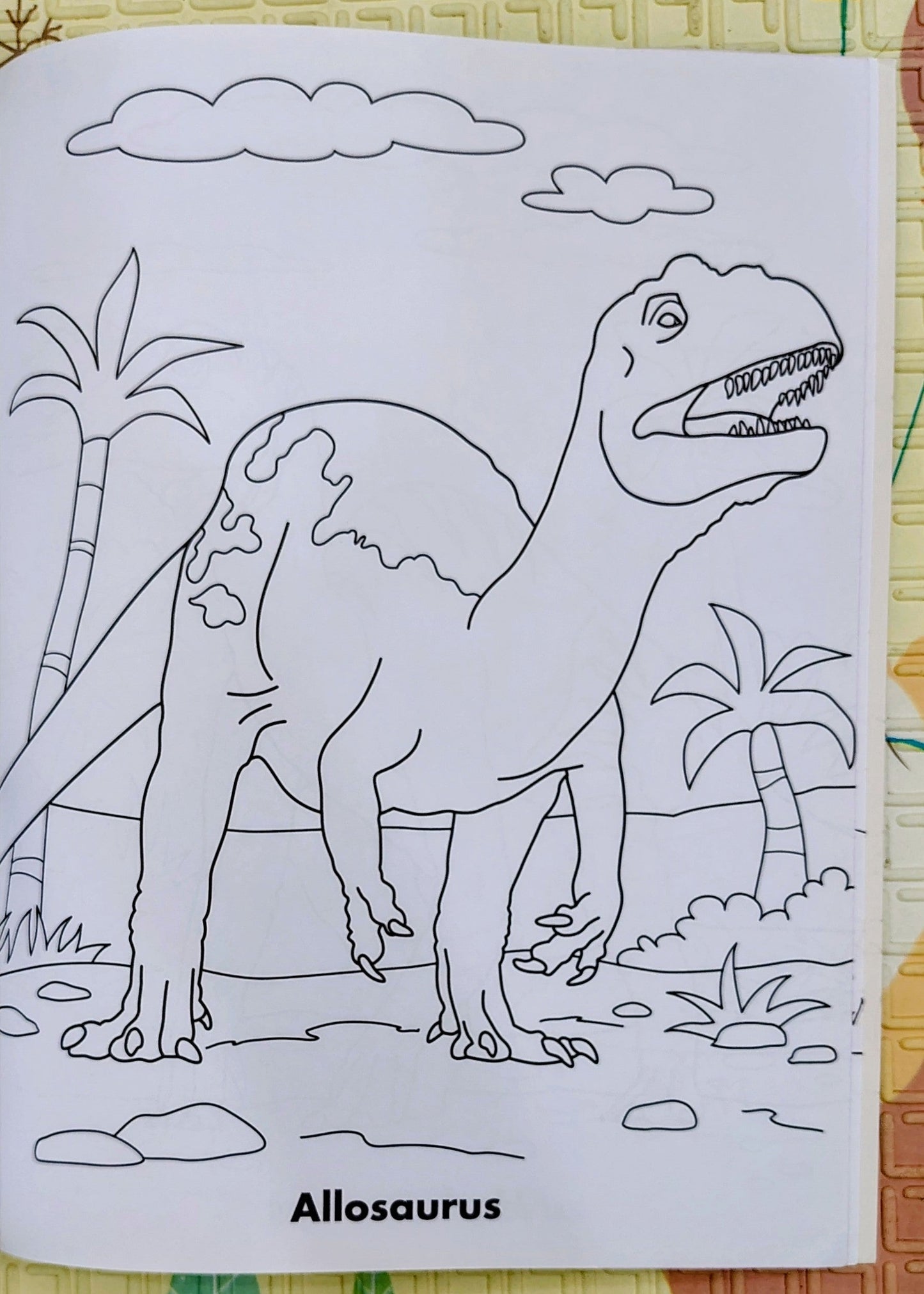 Dinosaurs Sticker Activity Book with Colouring Pages