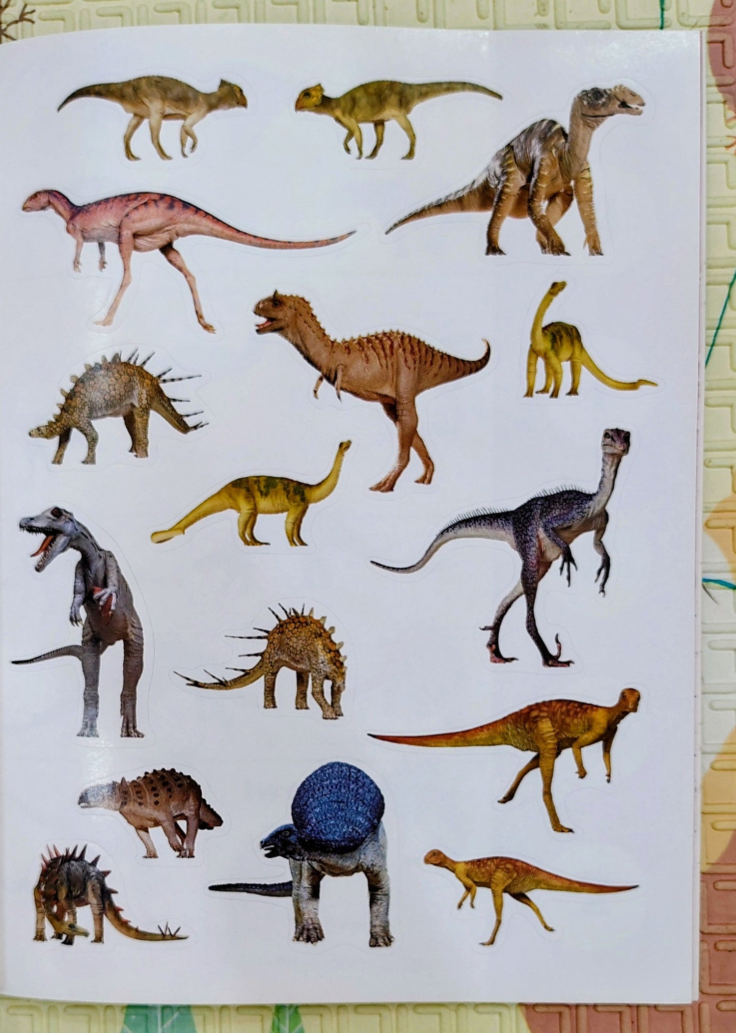 Dinosaurs Sticker Activity Book with Colouring Pages