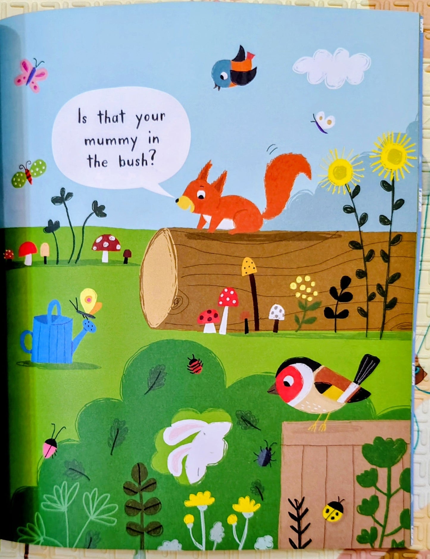Can you find... Little Kitten's mummy? | Hide and Seek