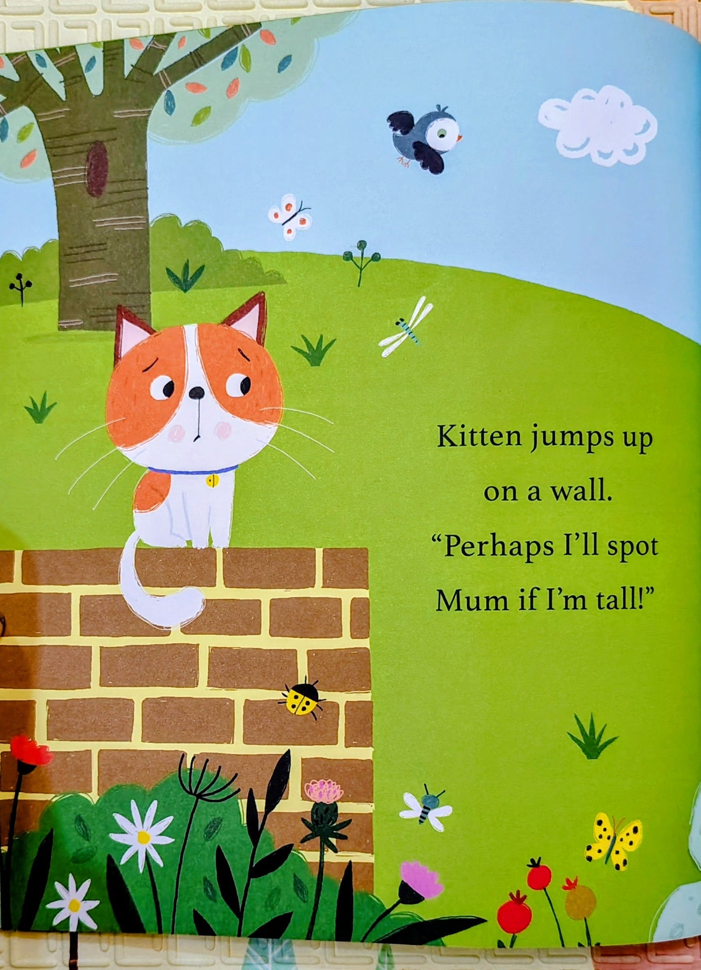 Can you find... Little Kitten's mummy? | Hide and Seek