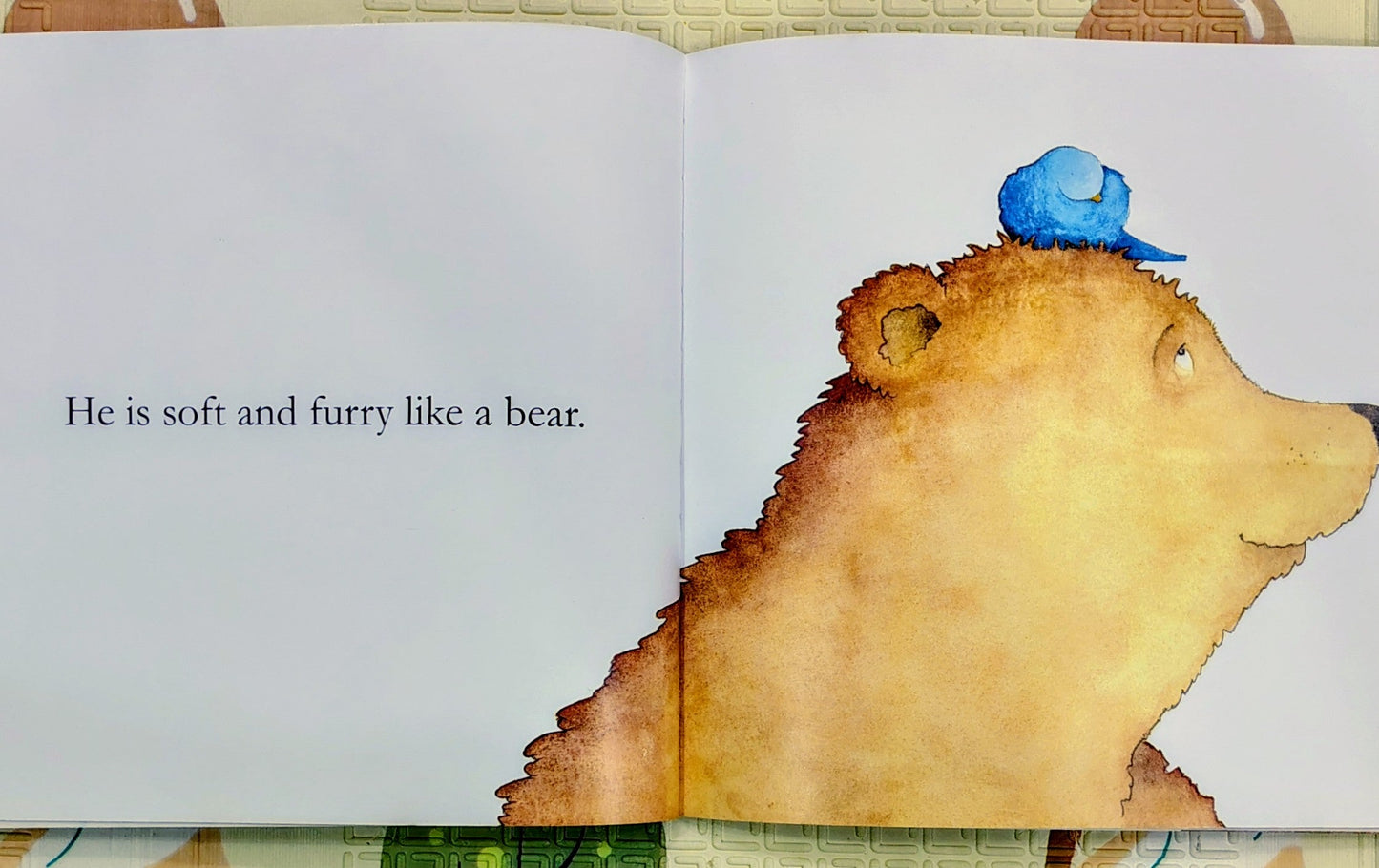 My Dad is a Bear by Nicola Connelly and Annie White