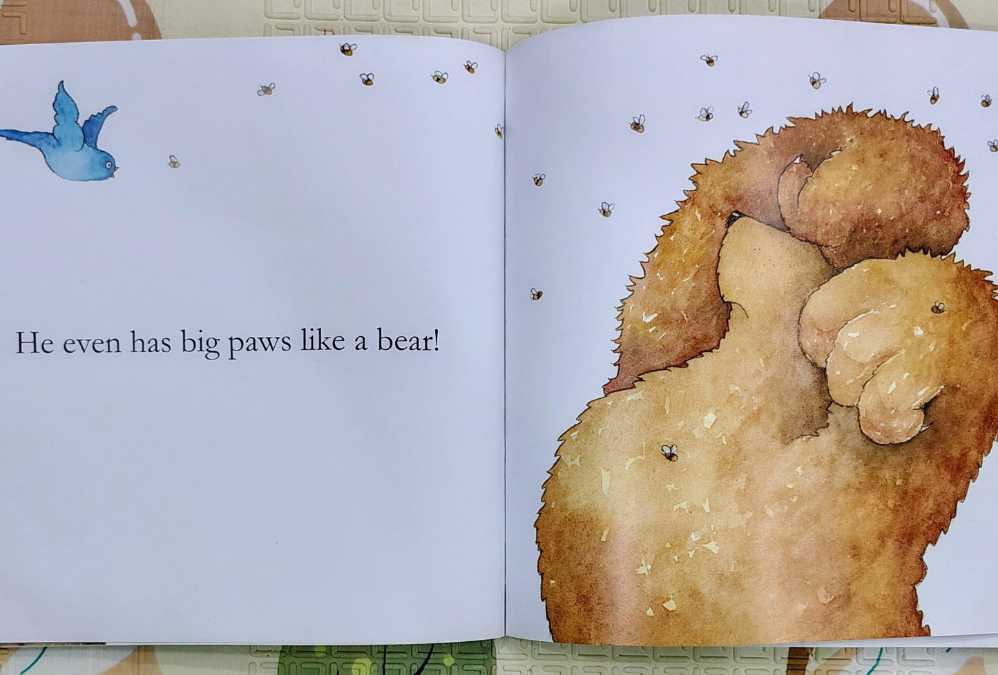My Dad is a Bear by Nicola Connelly and Annie White