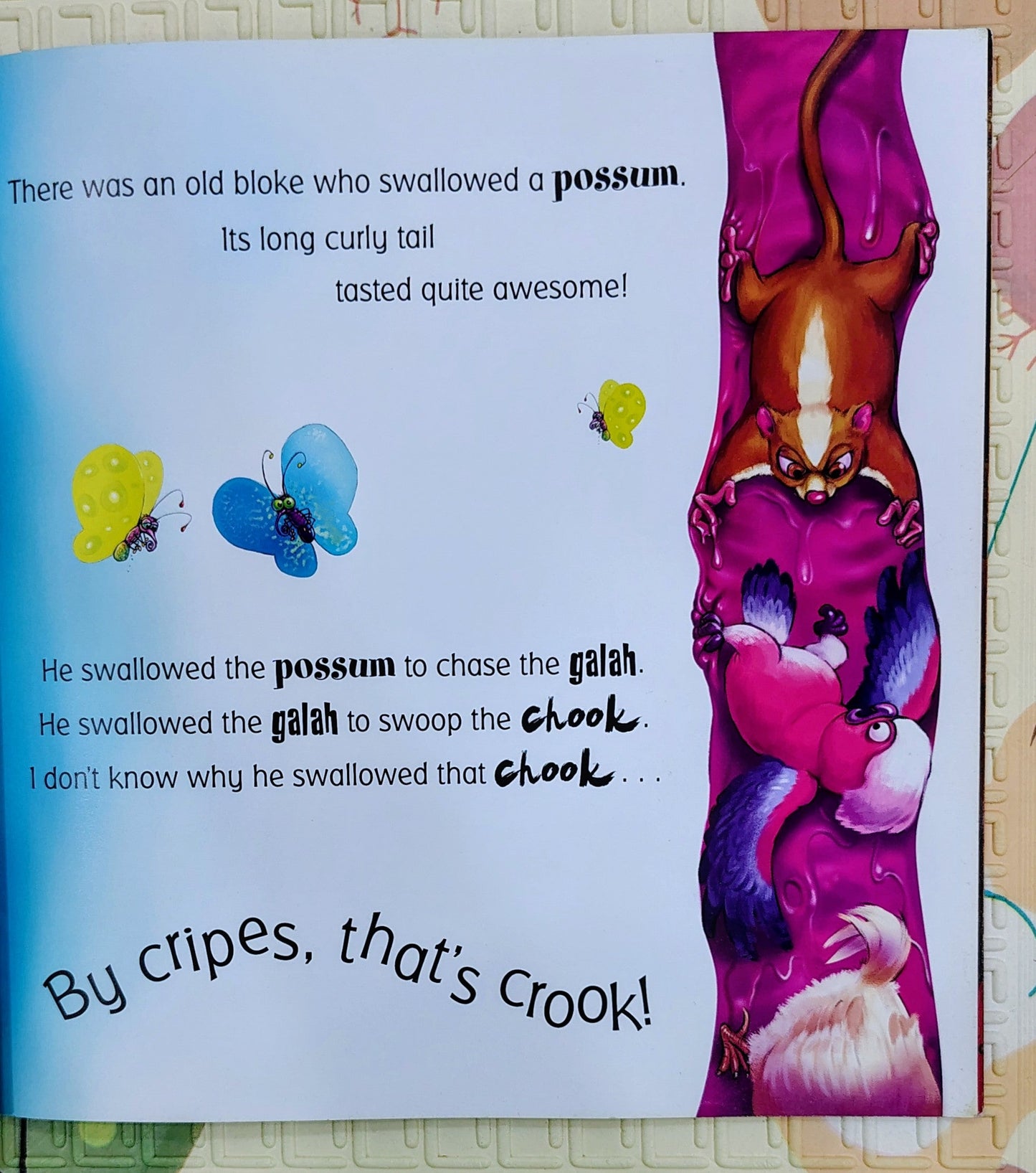 There Was An Old Bloke Who Swallowed A Chook by P. Crumble | Scholastic