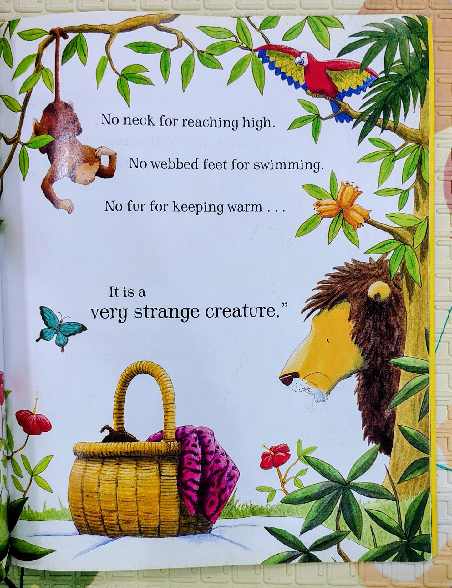 A Very Strange Creature by Ronda Armitage | Orchard Books